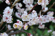 image0172