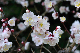 image0173