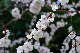 image0174