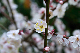 image0175