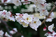 image0176