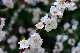 image0177