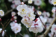 image0178