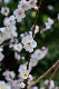 image0179