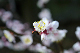 image0181