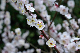 image0182