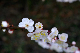 image0183