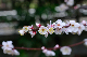 image0184