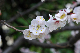 image0185