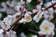 image0186