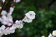 image0187