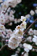 image0188