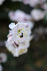 image0189