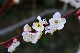 image0190
