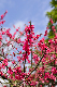 image0194