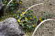 image0196