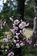 image0197