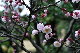 image0198