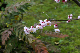 image0199
