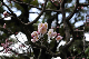 image0200