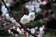 image0203
