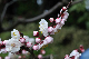 image0204