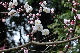 image0207