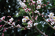 image0208