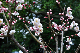 image0209