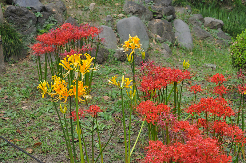 image0092