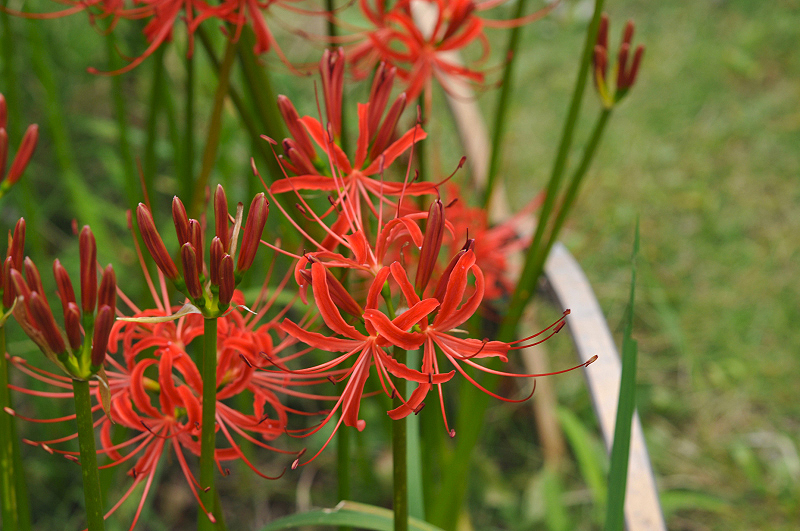 image0130