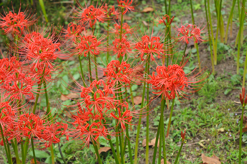 image0144