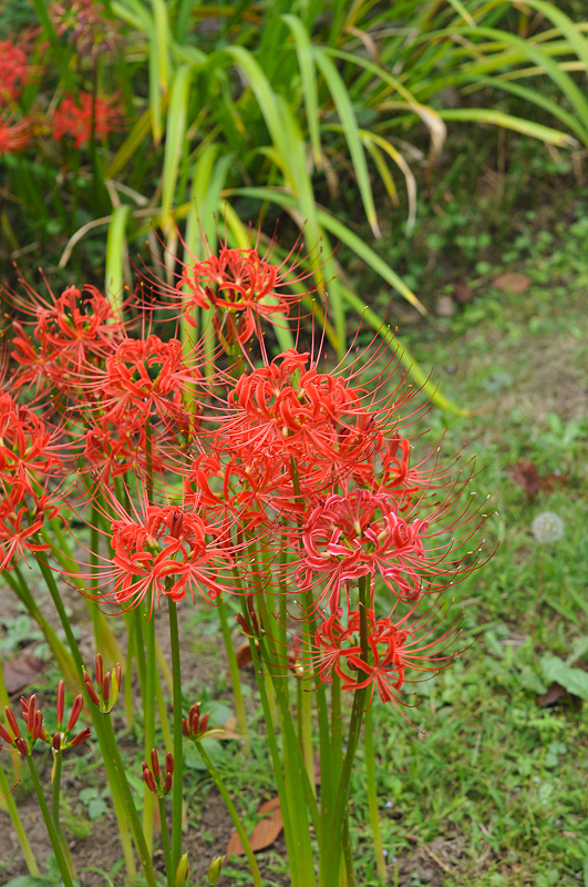image0145