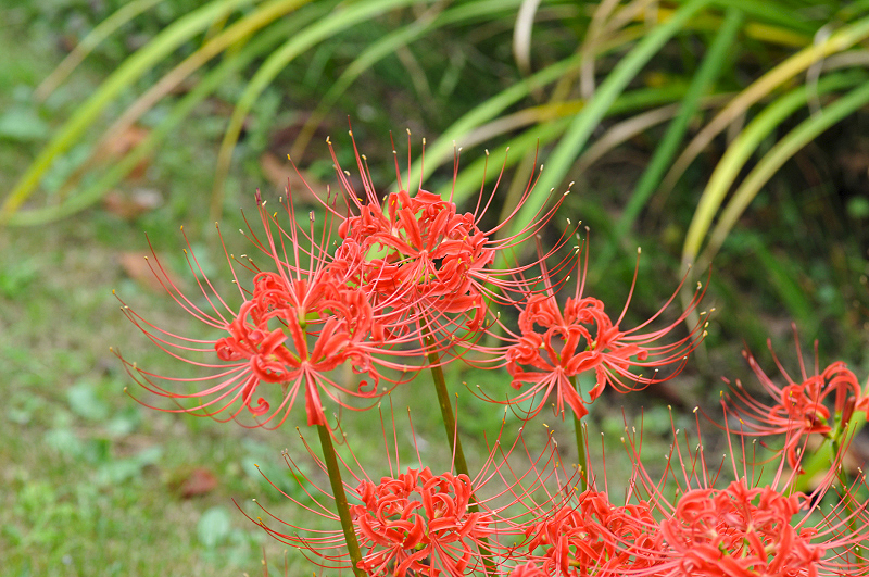 image0155
