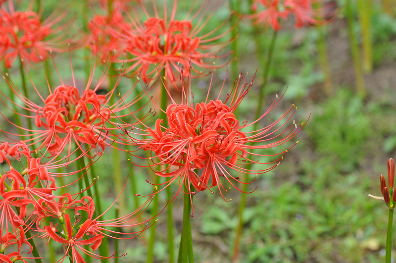 image0157