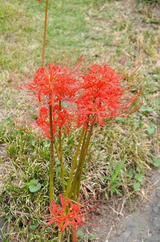 image0160