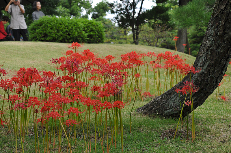 image0161