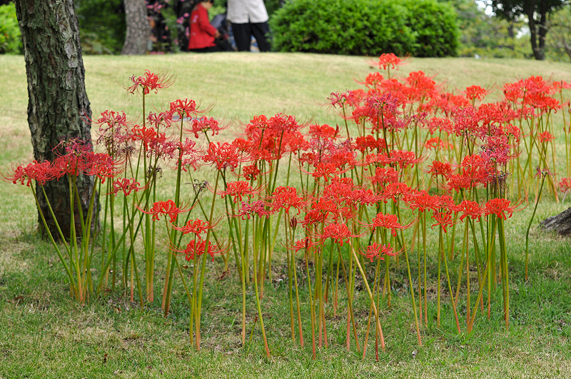 image0162