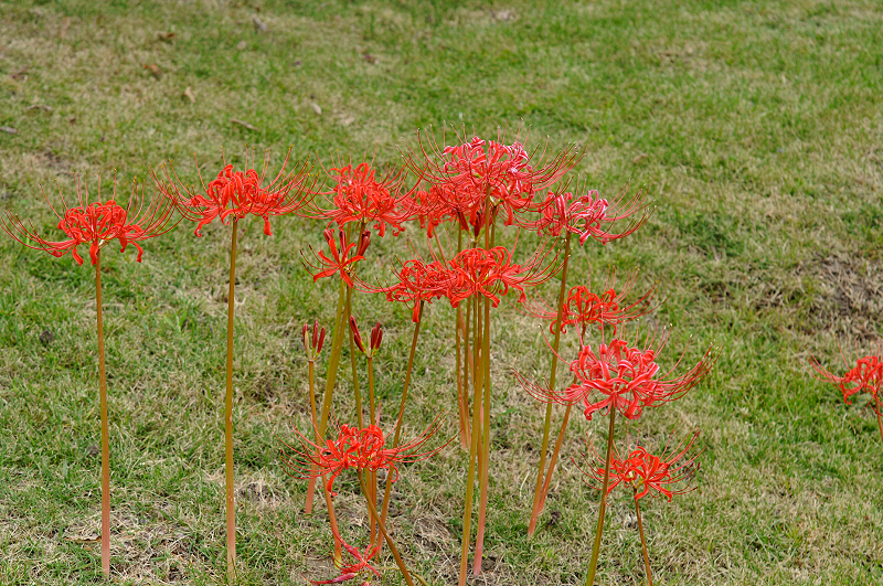 image0163