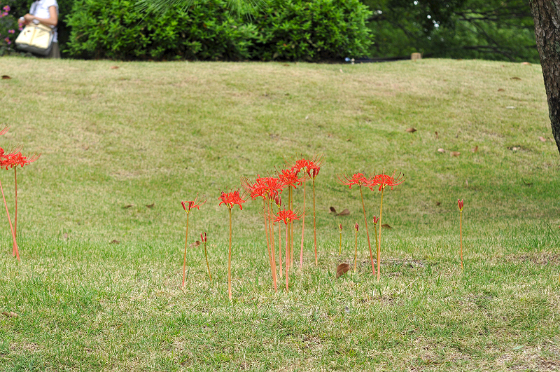 image0165