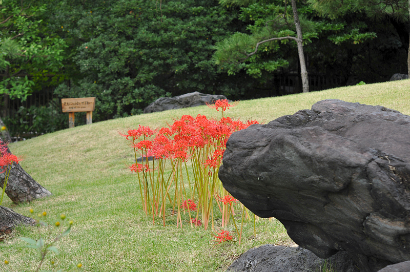 image0166