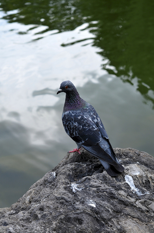 image0167