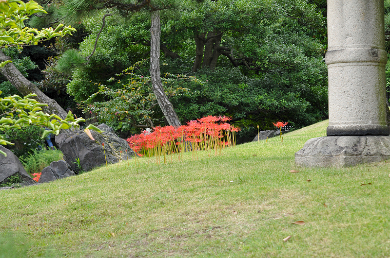 image0168