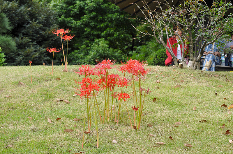 image0169