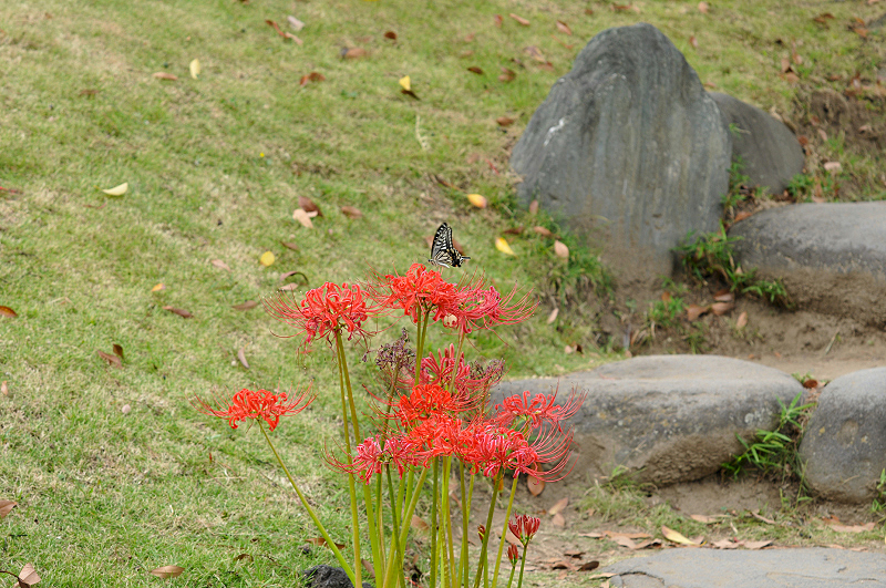 image0170