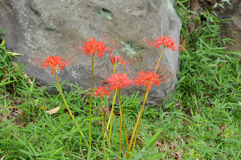 image0171