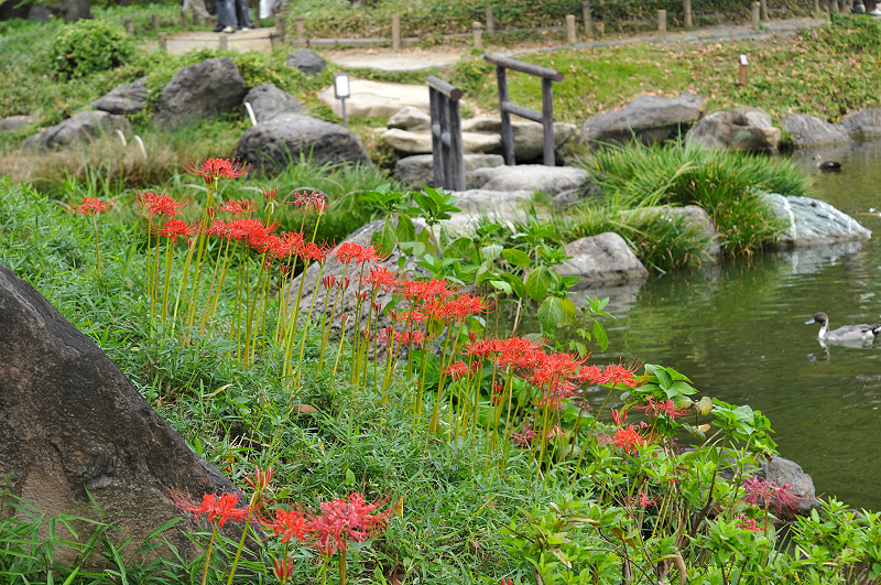 image0172