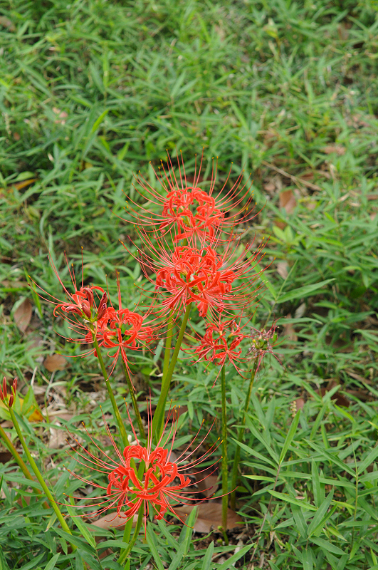 image0173