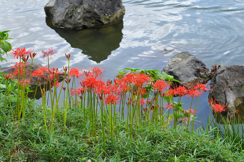 image0174
