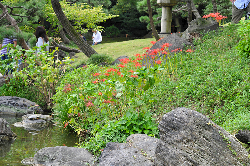 image0175